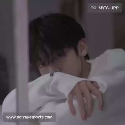 司达蕾
